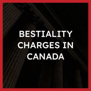 bestiality canada|Bestiality (s. 160) Laws in Canada